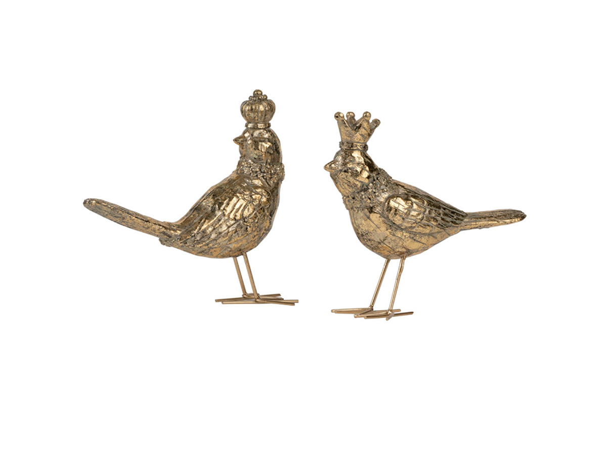Bird Accent