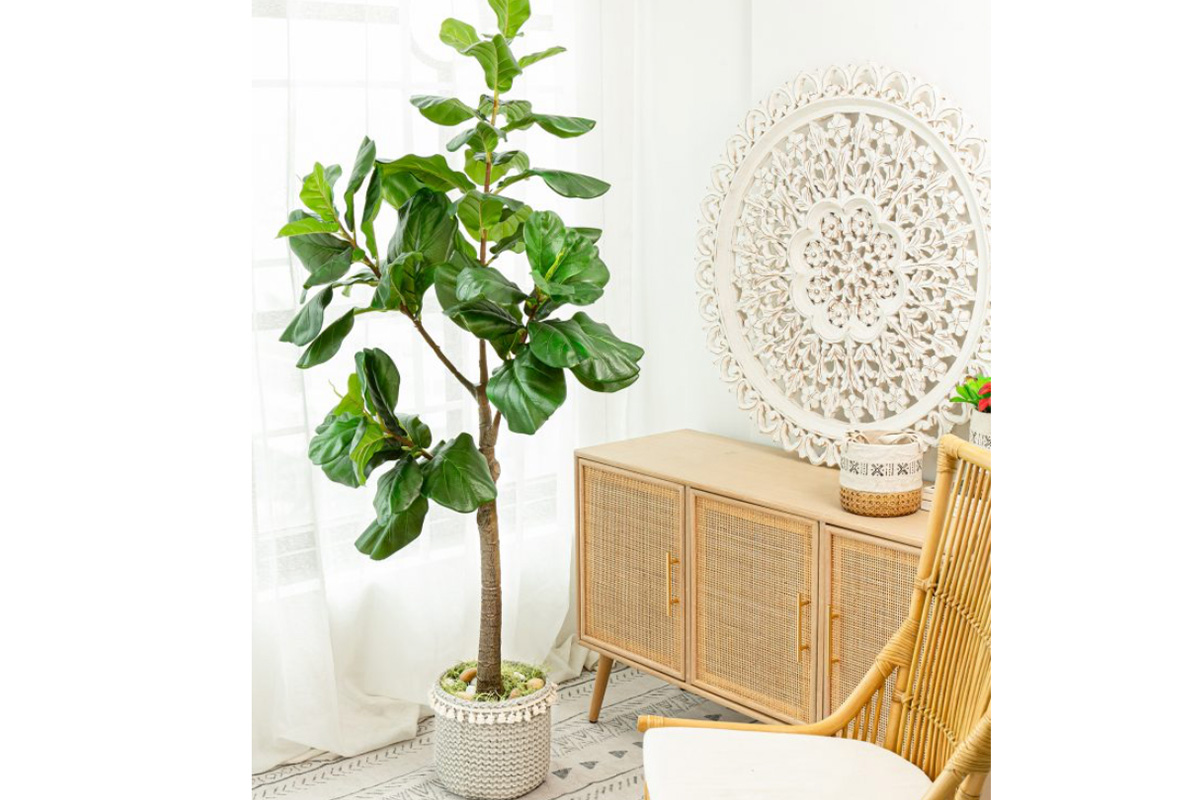 ab190 fiddle leaf fig tree in pot f29325 ambientejpg mubleria dkassa