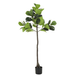 uma036 af fiddle leaf tree 41 w 74 h 74095 f bco