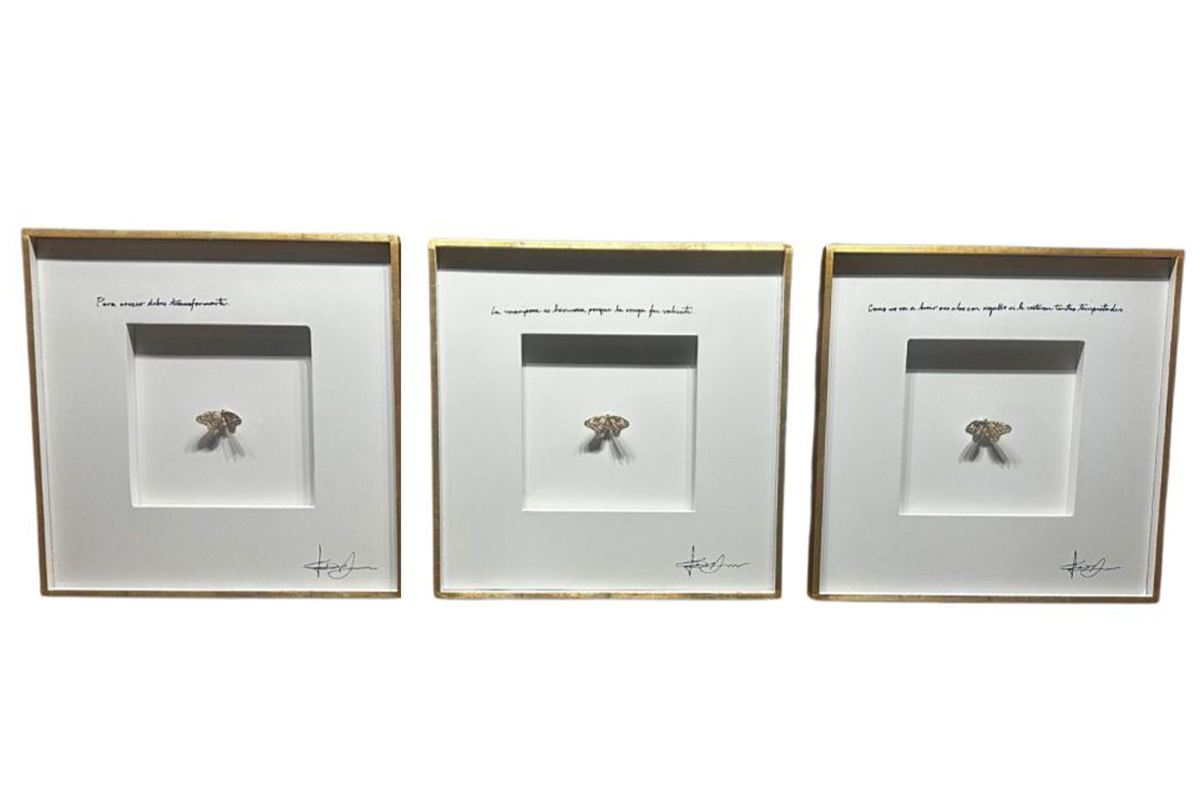 JUD290 POESIA DE MARIPOSAS